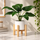 🌿 Suporte para Plantas em Madeira