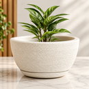 Vaso Decorativo para Plantas com Prato