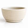 Vaso Decorativo para Plantas com Prato