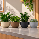 Vaso Decorativo para Plantas com Prato