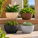 Vaso Decorativo para Plantas com Prato