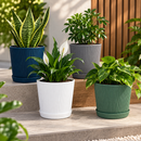 Kit Cachepôs Decorativos Nórdicos com Bandeja – 1, 3 ou 5 Peças