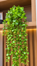 Planta Decorativa Artificial Pendente 78cm