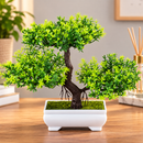 Planta Artificial Bonsai.