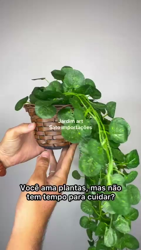 Arranjo Pendente 3 Cordões Hera/Jiboia no Vaso Decor