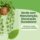 Arranjo Pendente 3 Cordões Hera/Jiboia no Vaso Decor