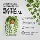 Arranjo Pendente 3 Cordões Hera/Jiboia no Vaso Decor