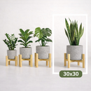 Suporte de Chão para Plantas em Madeira Pinus Natural – Cachepot Porta Vaso Decorativo (Até 35kg)