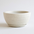 Vaso Decorativo para Plantas com Prato